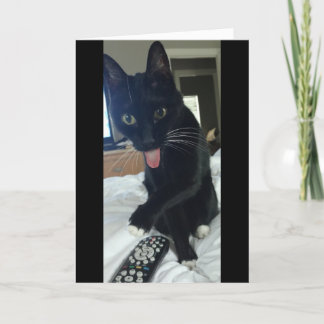 drôle de cache de chat Carte de remerciements à di