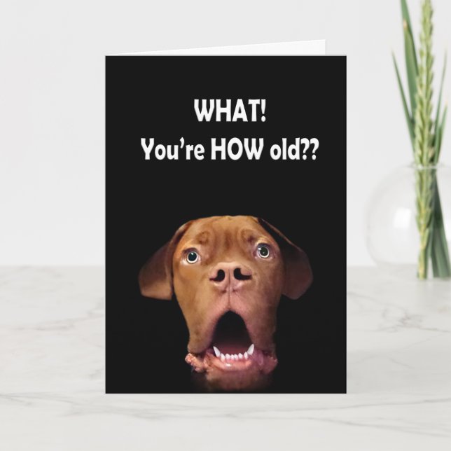 drôle de carte d'anniversaire de chien surprise (Devant)