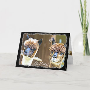 Drôle Fête Alpaca carte d'anniversaire