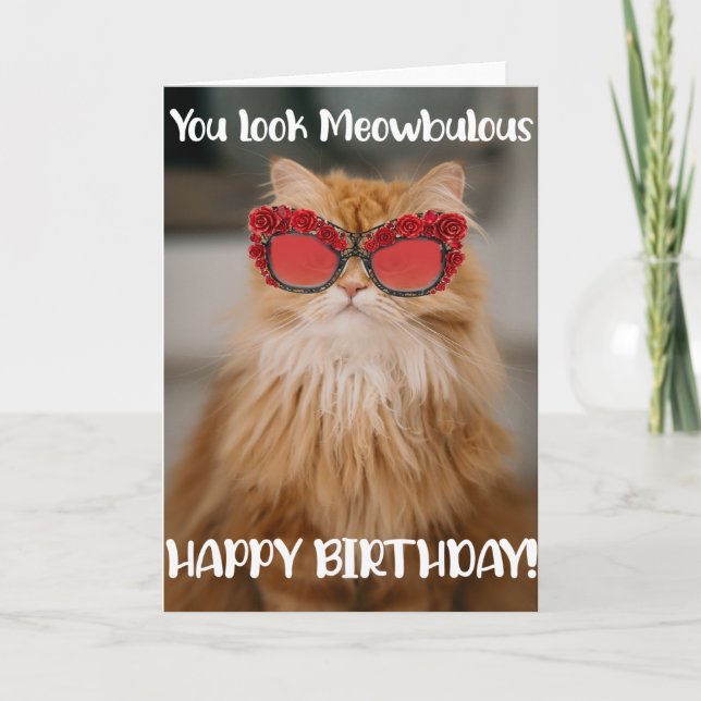 Drôle Glamour Chat Carte de voeux Anniversaire (Devant)