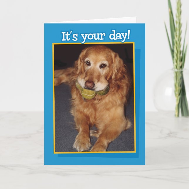 Drôle Golden Retriever avec Balls carte d'annivers (Devant)