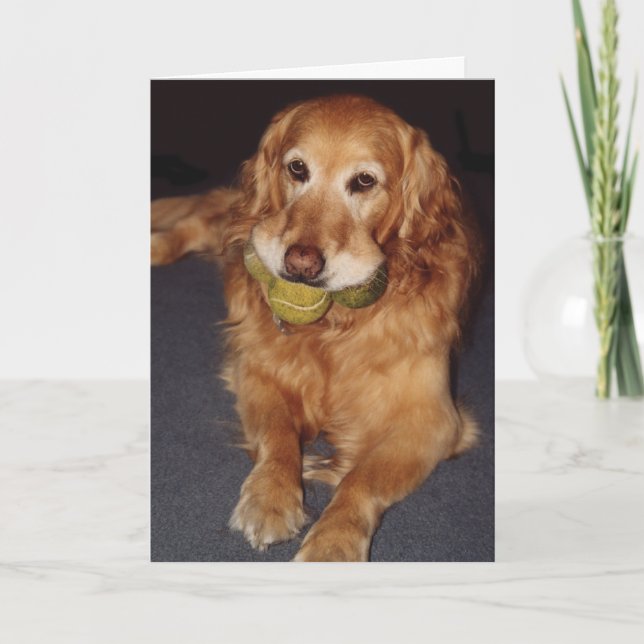 Drôle Golden Retriever avec Balls carte d'annivers (Devant)