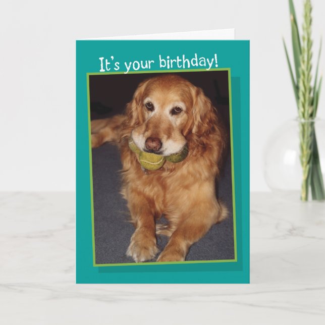 Drôle Golden Retriever avec Balls carte d'annivers (Devant)