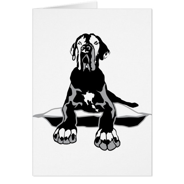 Drôle grand Dane Ilios (Devant)