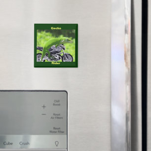 Drôle Green Hawaiian Gecko Rider Magnet