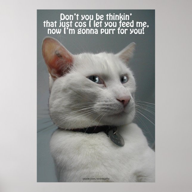 Drôle Humour de chat blanc Poster d'amoureux des a (Devant)