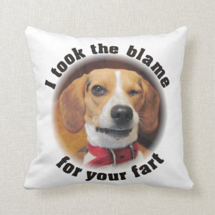 Drôle j'ai pris le blâme pour votre coussin de