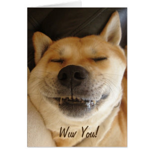 drôle japonaise akita avec un sourire fou mignon c