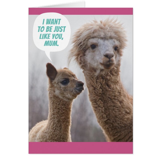 Drôle Llama carte de fête des mères pour maman (Devant)