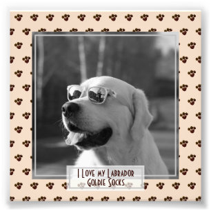 Drôle mignon Golden Labrador Retriever PHOTO Nommé