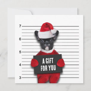 Drôle Mugshot Mauvais Père Noël Chien Carte cadeau