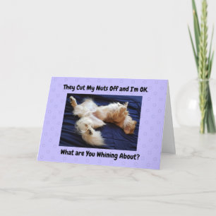 Drôle Obtenir Bonne Carte Golden Retriever Afficha