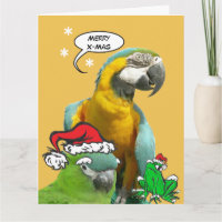 Drôle Parrot Parrot Merry X-Mas Carte de voeux