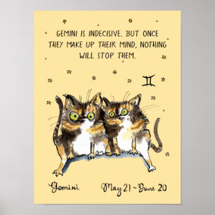 Drôle poster Gemini Zodiac Chat Star affiche
