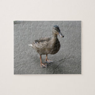 Drôle Puzzle de canard à pattes