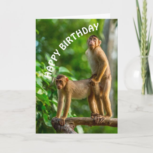 Drôle Singes Joyeux Anniversaire Carte Mince Sale (Devant)