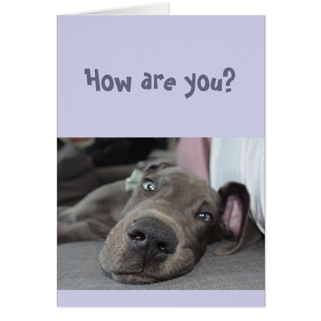 Drôle Social Distancing Miss You Great Dane Chien (Devant)