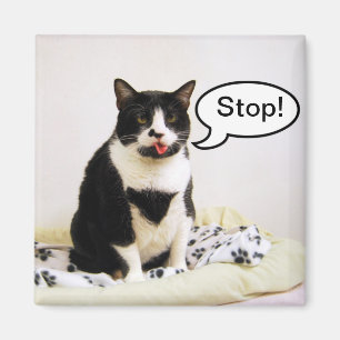 Drôle Tuxedo Chat "Stop !" Magnet