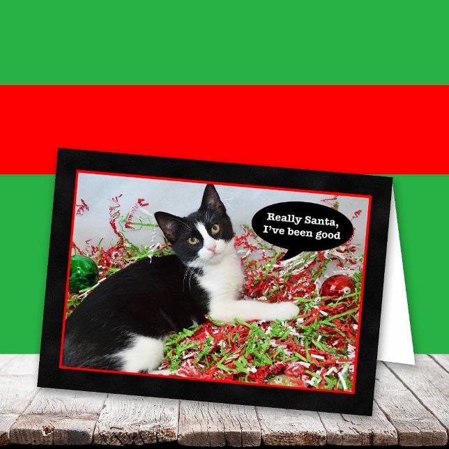 Drôle Tuxedo Kitten Cat Carte de Noël (Créateur téléchargé)
