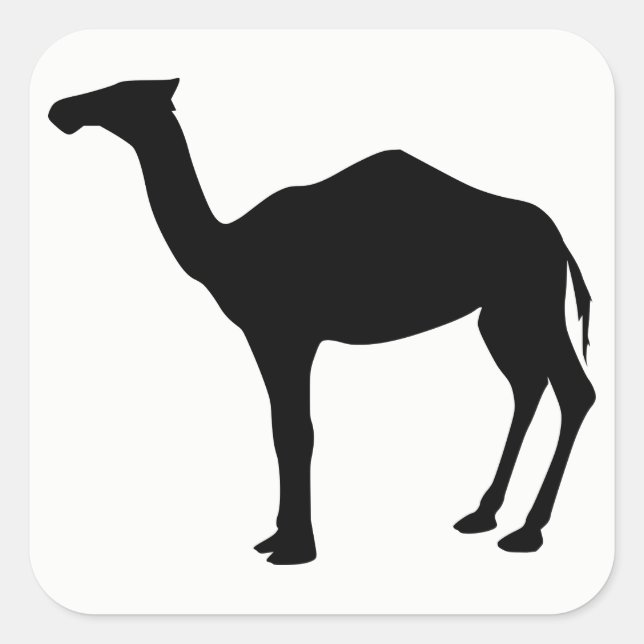Dromedar-Silhouette Quadratischer Aufkleber (Vorderseite)