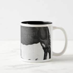Dromedary, von 'Historial Animalium Zweifarbige Tasse