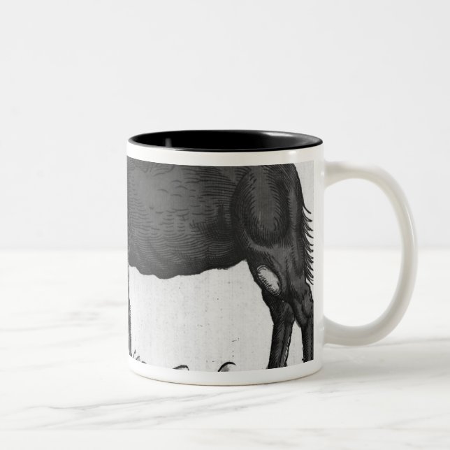 Dromedary, von 'Historial Animalium Zweifarbige Tasse (Rechts)