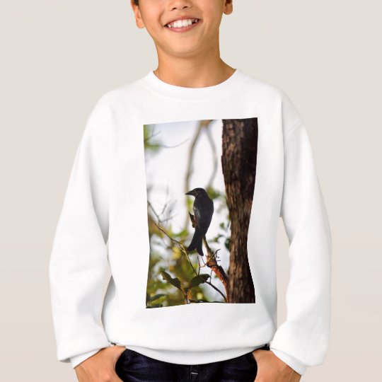 DRONGO-VOGEL LÄNDLICHES QUEENSLAND AUSTRALIEN SWEATSHIRT