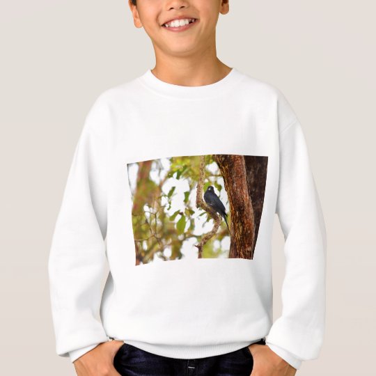 DRONGO-VOGEL LÄNDLICHES QUEENSLAND AUSTRALIEN SWEATSHIRT
