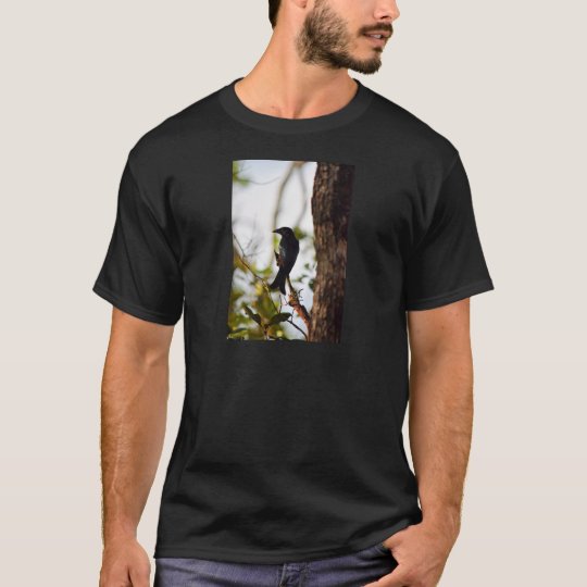 DRONGO-VOGEL LÄNDLICHES QUEENSLAND AUSTRALIEN T-Shirt