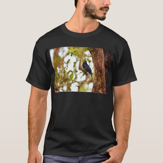 DRONGO-VOGEL LÄNDLICHES QUEENSLAND AUSTRALIEN T-Shirt