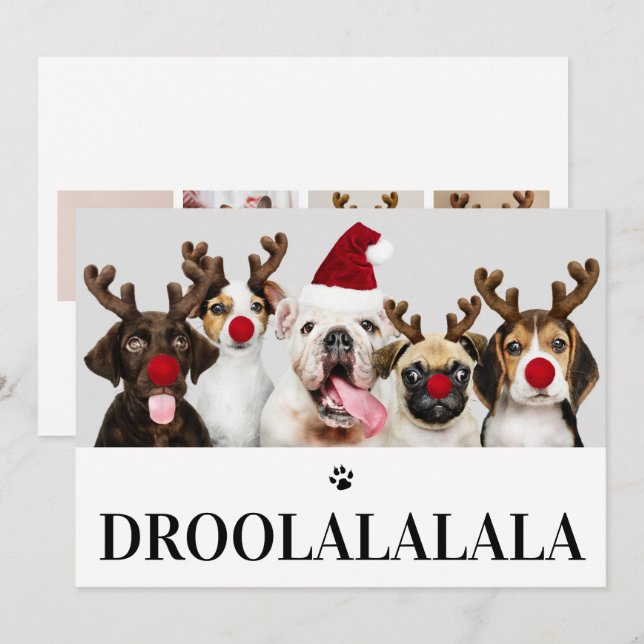 Droolalala Chien Noël 5 Carte photo (Devant / Derrière)