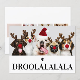 Droolalala Chien Noël 5 Carte photo