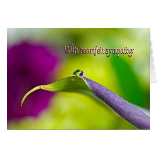 Droplet D'Eau Sympathique Sur La Feuille (Devant horizontal)