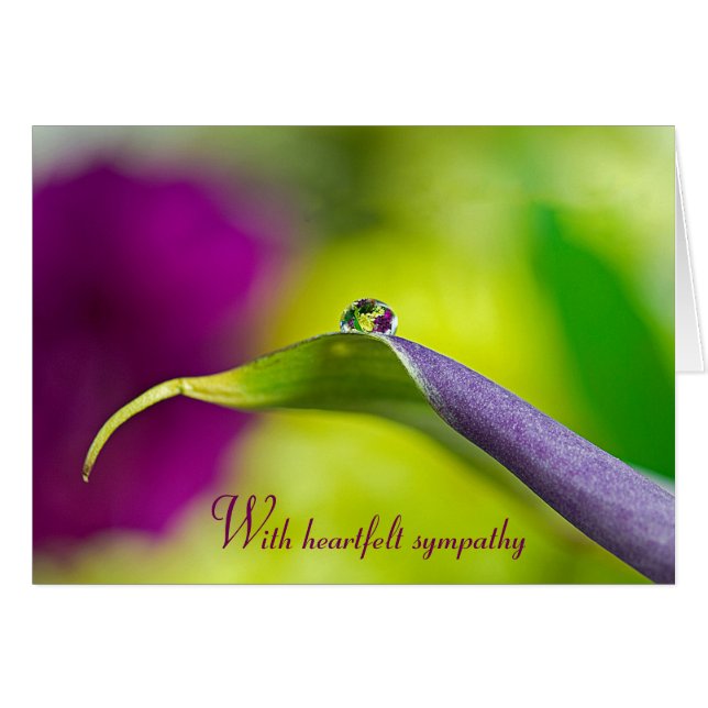 Droplet D'Eau Sympathique Sur La Feuille (Devant horizontal)