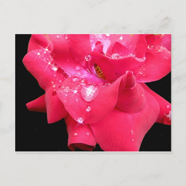 Droplets auf Blättern Postkarte (Vorderseite)