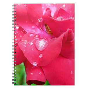 Droplets auf Petals-Foto-Notebook Notizblock