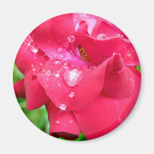 Droplets auf Petals-Kühlschrankmagnet Magnet