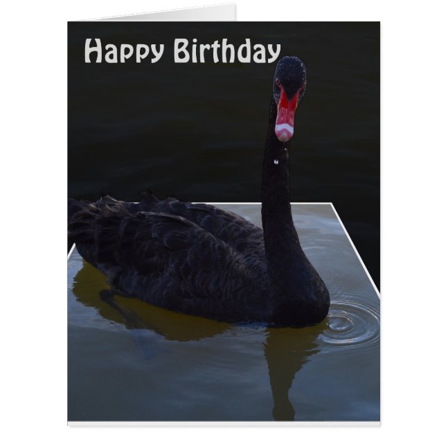 Droplets De Cygne Noir En Étang, Carte Jumbo Anniv (Devant)