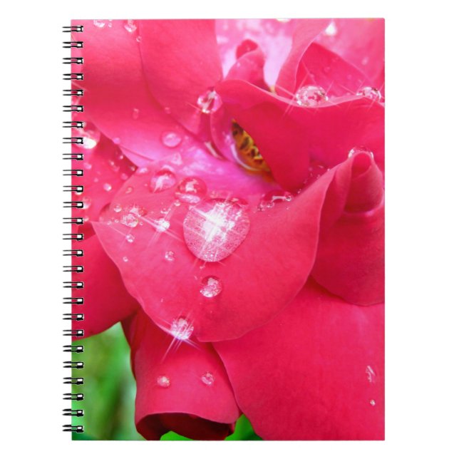 Droplets sur pétales Carnet photo (Devant)