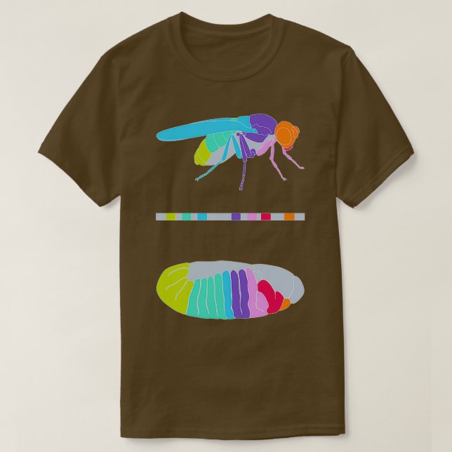 Drosophila Hox Genes T-Shirt (Design vorne)