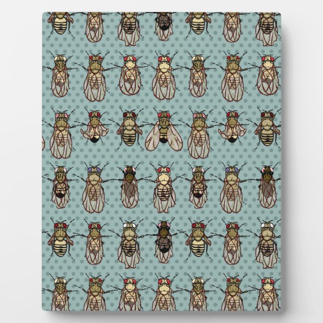 Drosophila-Mutanten Fotoplatte (Vorderseite)