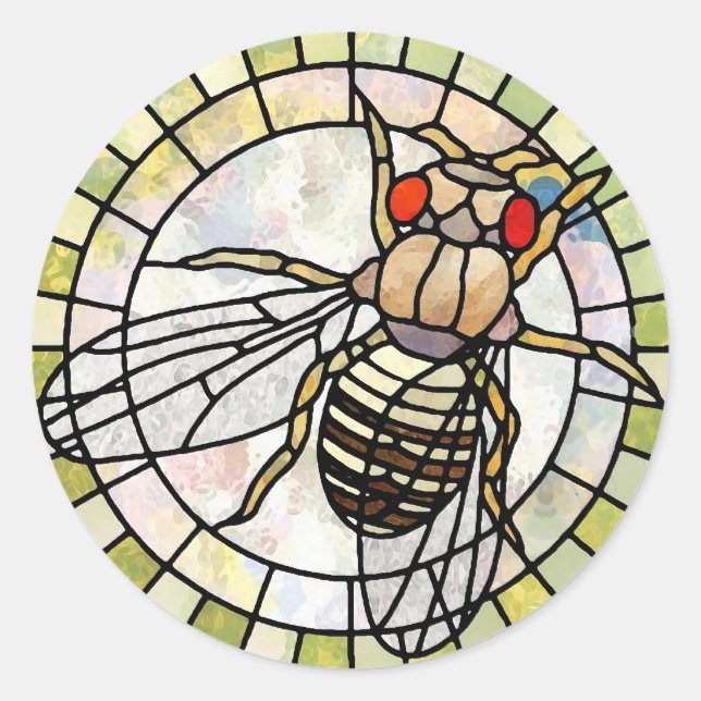 Drosophila Runder Aufkleber (Vorderseite)
