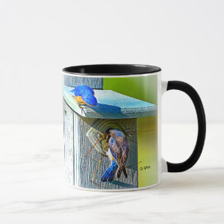 Drossel 020, die 11 Unze-Klassiker-Tasse nistet Tasse