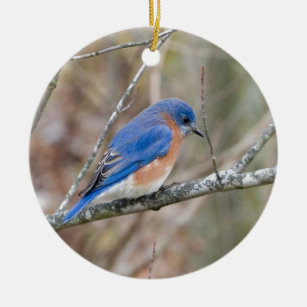 Drossel-blauer Vogel im Baum Keramikornament
