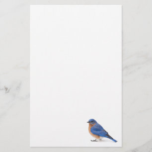 Drossel Briefpapier