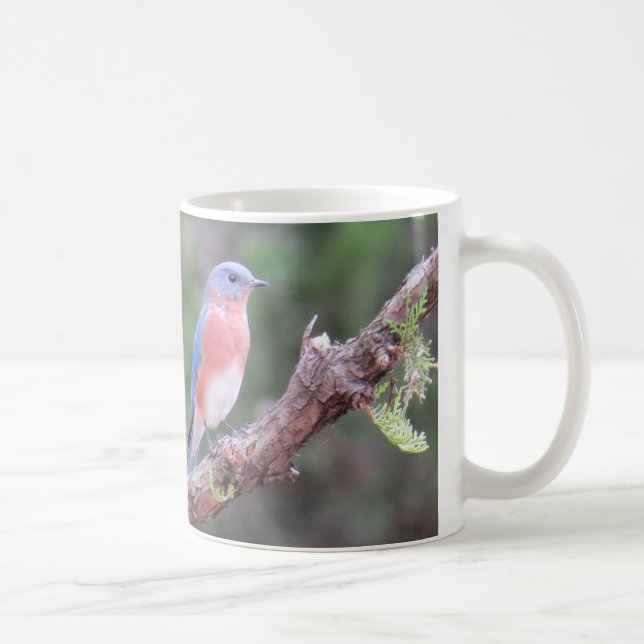 Drossel-Kaffee-Tasse Kaffeetasse (Rechts)