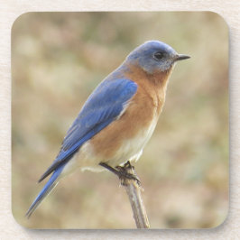 Drossel-Untersetzer Getränkeuntersetzer