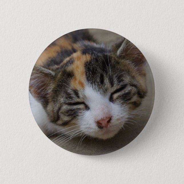 Drowsing Calico Kitten Button (Vorderseite)