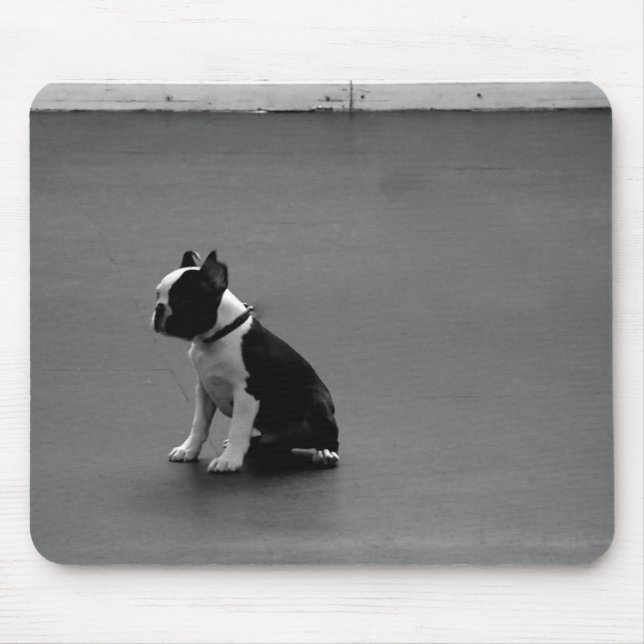 DRU Welpen-Boston-Terrier Mousepad (Vorne)