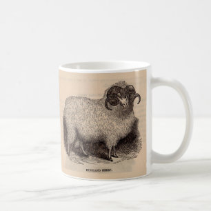 Druck aus dem 19. Jahrhundert Highland-Schafe Kaffeetasse